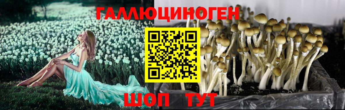 Галлюциногенные грибы мицелий  Вход с VPN  Псилоцибиновые грибы ЛСД  Кубинка 